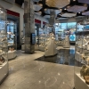 Polymedia расширила возможности обновленного Геологического музея в НИТУ «МИСиС»
